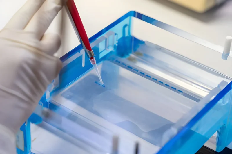 Structural Verification and Stability Profiling in Advanced Preclinical Peptide Research 